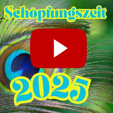 Öffnet externen Link https://www.youtube.com/watch?v=mEBUAxI10fQ in einem neuen Fenster